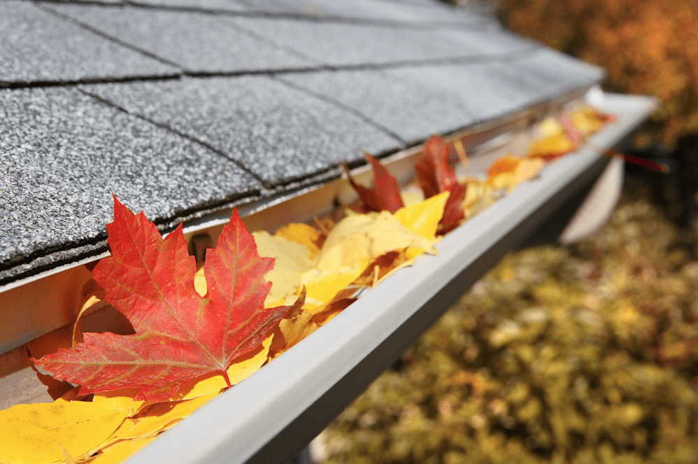 Gutter Filled With Leaves