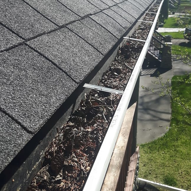 Roof Gutter filled with leaves and debris